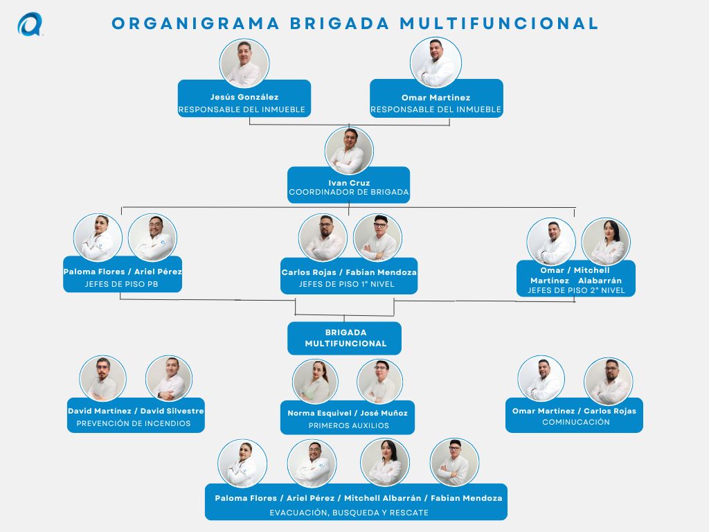 Organigrama Brigada Multifuncional